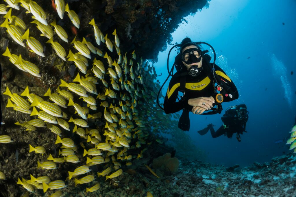scubadiving